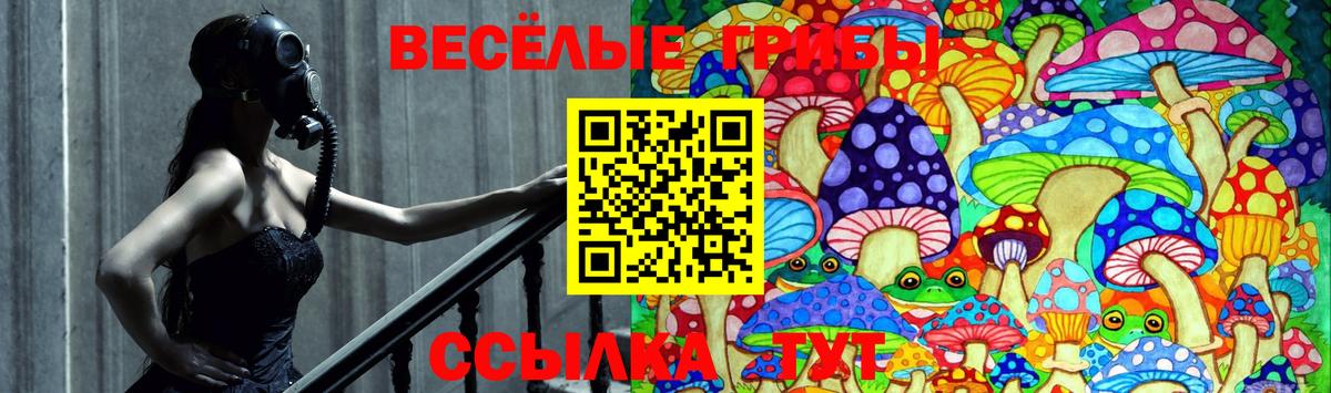 Галлюциногенные грибы GOLDEN TEACHER Новокубанск
