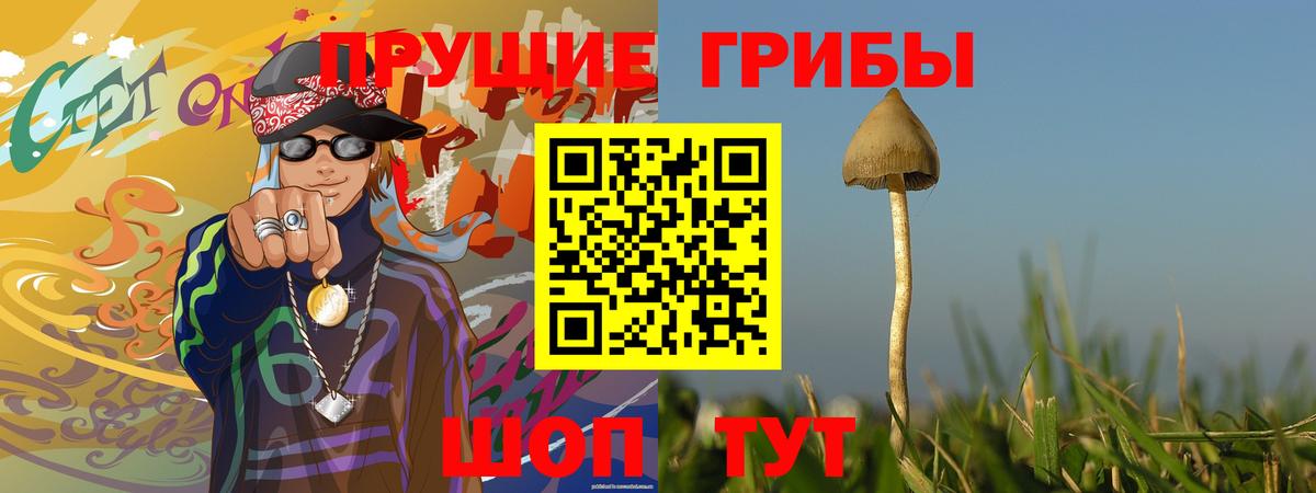 Галлюциногенные грибы GOLDEN TEACHER  Вход с VPN  Псилоцибиновые грибы ЛСД  Новокубанск 