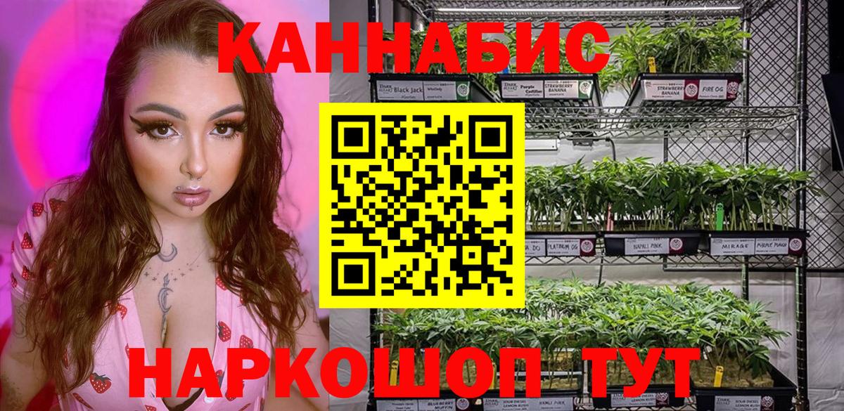 Канабис White Widow  Шишки марихуана OG Kush  Новокубанск  Вход с VPN  Конопля OG Kush 